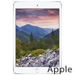 Ремонт Apple iPad mini 2 в Екатеринбурге