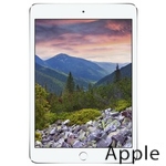 Ремонт Apple iPad mini 3 в Екатеринбурге