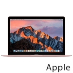 Ремонт Apple MacBook Mid в Екатеринбурге